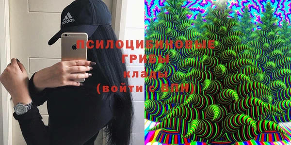 прущая мука Белокуриха